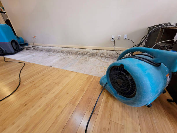 Professional Ceiling Water Damage Repair technician working in East Liberty, OH